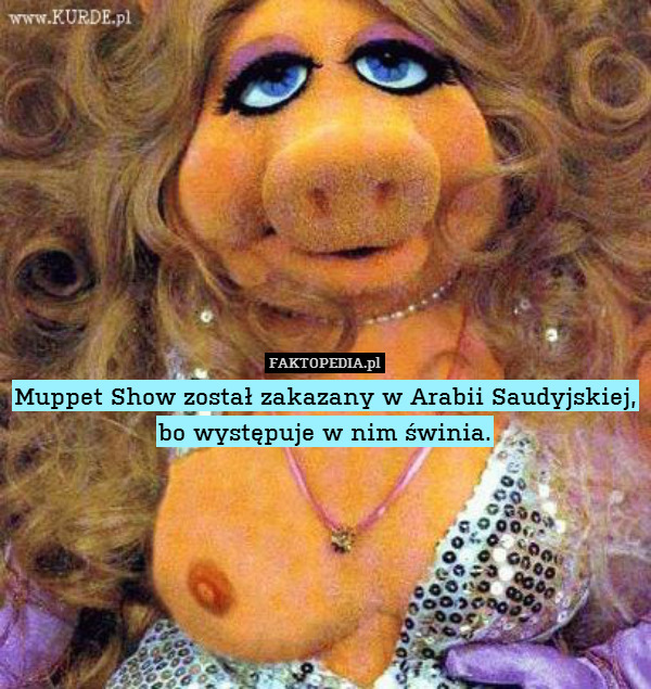Muppet Show został zakazany w Arabii Saudyjskiej, bo występuje w nim świnia. 