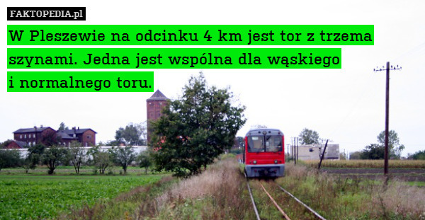 W Pleszewie na odcinku 4 km jest tor z trzema szynami. Jedna jest wspólna dla wąskiego
i normalnego toru. 
