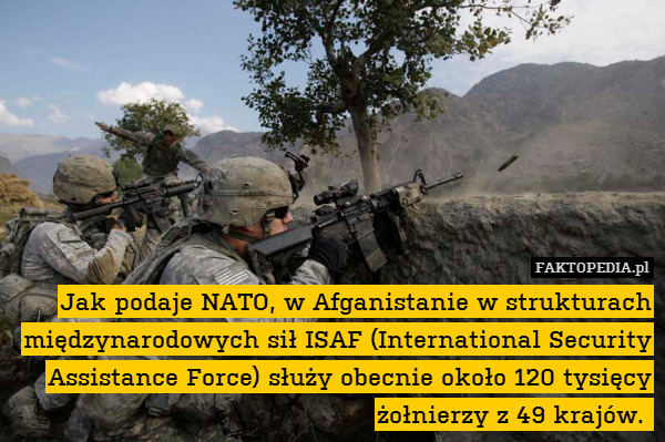 Jak podaje NATO, w Afganistanie w strukturach międzynarodowych sił ISAF (International Security Assistance Force) służy obecnie około 120 tysięcy żołnierzy z 49 krajów. 