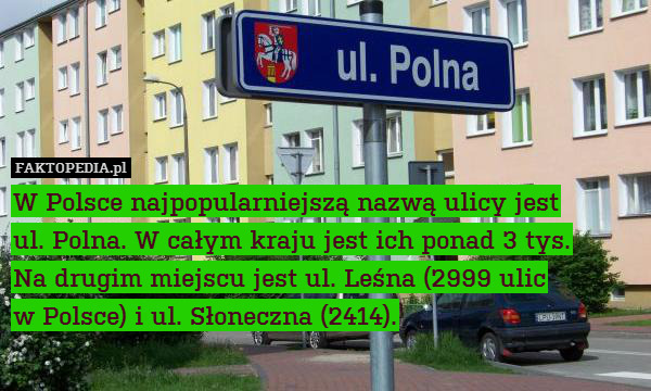 W Polsce najpopularniejszą nazwą ulicy jest
ul. Polna. W całym kraju jest ich ponad 3 tys.
Na drugim miejscu jest ul. Leśna (2999 ulic
w Polsce) i ul. Słoneczna (2414). 