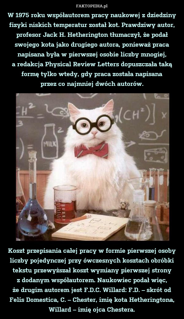 W 1975 roku współautorem pracy naukowej z dziedziny fizyki niskich temperatur został kot. Prawdziwy autor, profesor Jack H. Hetherington tłumaczył, że podał swojego kota jako drugiego autora, ponieważ praca napisana była w pierwszej osobie liczby mnogiej,
a redakcja Physical Review Letters dopuszczała taką formę tylko wtedy, gdy praca została napisana
przez co najmniej dwóch autorów.
















Koszt przepisania całej pracy w formie pierwszej osoby liczby pojedynczej przy ówczesnych kosztach obróbki tekstu przewyższał koszt wymiany pierwszej strony
z dodanym współautorem. Naukowiec podał więc,
że drugim autorem jest F.D.C. Willard: F.D. – skrót od
Felis Domestica, C. – Chester, imię kota Hetheringtona, Willard – imię ojca Chestera. 