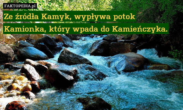 Ze źródła Kamyk, wypływa potok Kamionka, który wpada do Kamieńczyka. 