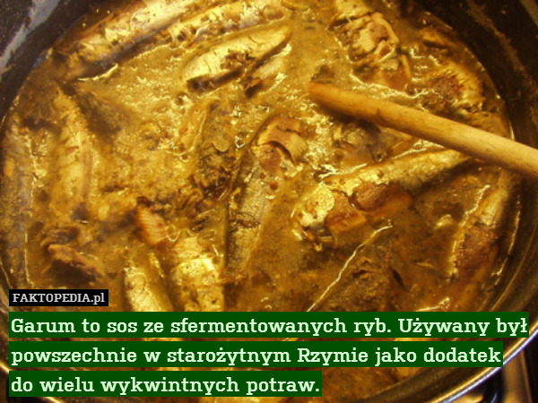 Garum to sos ze sfermentowanych ryb. Używany był powszechnie w starożytnym Rzymie jako dodatek
do wielu wykwintnych potraw. 