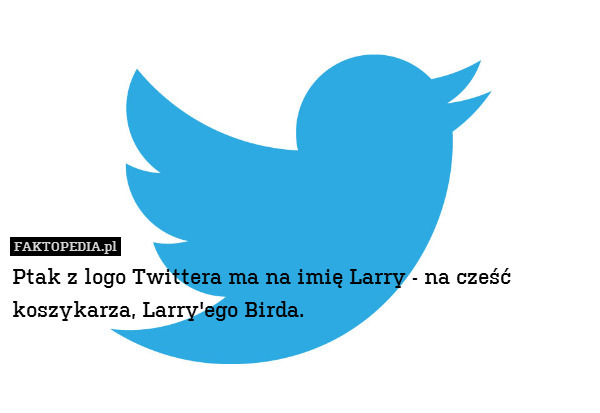 Ptak z logo Twittera ma na imię Larry - na cześć koszykarza, Larry&apos;ego Birda. 