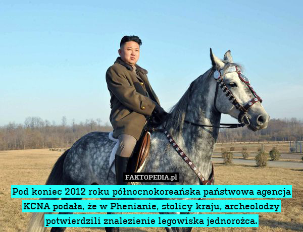 Pod koniec 2012 roku północnokoreańska państwowa agencja KCNA podała, że w Phenianie, stolicy kraju, archeolodzy potwierdzili znalezienie legowiska jednorożca. 