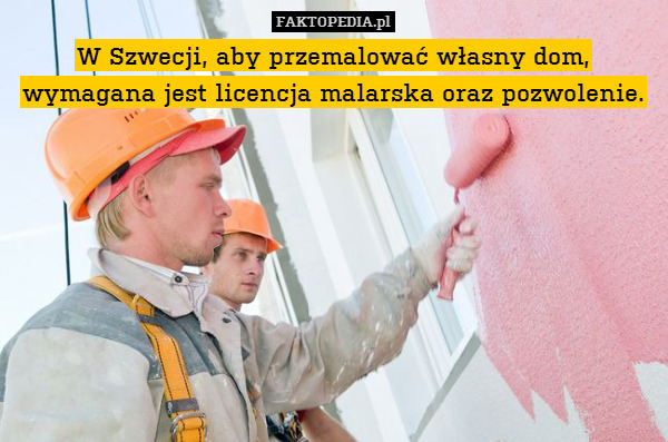 W Szwecji, aby przemalować własny dom, wymagana jest licencja malarska oraz pozwolenie. 