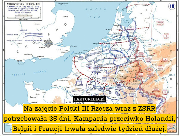 Na zajęcie Polski III Rzesza wraz z ZSRR potrzebowała 36 dni. Kampania przeciwko Holandii, Belgii i Francji trwała zaledwie tydzień dłużej. 