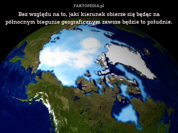 Bez względu na to, jaki kierunek obierze się będąc na północnym biegunie geograficznym zawsze będzie to południe. 