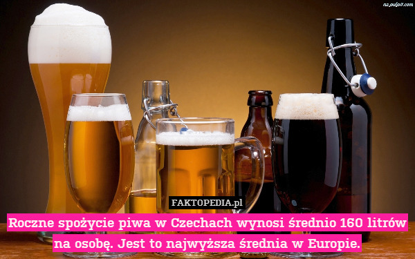 Roczne spożycie piwa w Czechach wynosi średnio 160 litrów na osobę. Jest to najwyższa średnia w Europie. 