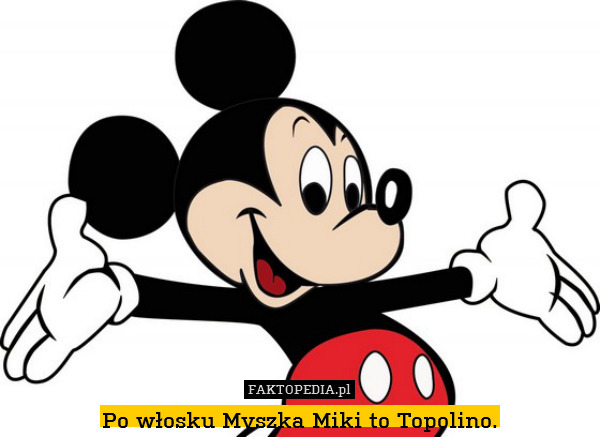 Po włosku Myszka Miki to Topolino. 