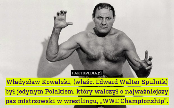 Władysław Kowalski, (właśc. Edward Walter Spulnik) był jedynym Polakiem, który walczył o najważniejszy pas mistrzowski w wrestlingu, „WWE Championship”. 