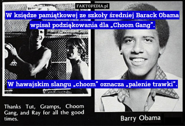 W księdze pamiątkowej ze szkoły średniej Barack Obama wpisał podziękowania dla „Choom Gang”.





W hawajskim slangu „choom” oznacza „palenie trawki”. 