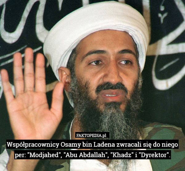 Współpracownicy Osamy bin Ladena zwracali się do niego per: "Modjahed", "Abu Abdallah", "Khadz" i "Dyrektor". 