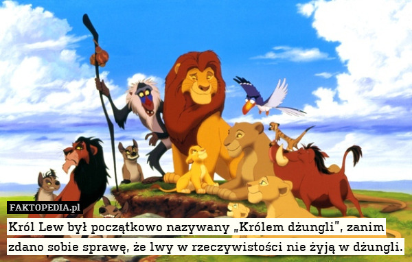 Król Lew był początkowo nazywany „Królem dżungli”, zanim zdano sobie sprawę, że lwy w rzeczywistości nie żyją w dżungli. 