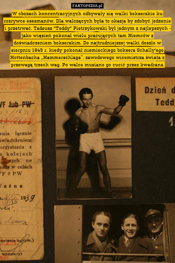 W obozach koncentracyjnych odbywały się walki bokserskie ku rozrywce esesmanów. Dla walczących była to okazja by zdobyć jedzenie i przetrwać. Tadeusz "Teddy" Pietrzykowski był jednym z najlepszych - jako więzień pokonał wielu pracujących tam Niemców z doświadczeniem bokserskim. Do najtrudniejszej walki doszło w sierpniu 1943 r. kiedy pokonał niemieckiego boksera Schally&apos;ego Hottenbacha „Hammerschlaga”, zawodowego wicemistrza świata z przewagą trzech wag. Po walce musiano go cucić przez kwadrans. 