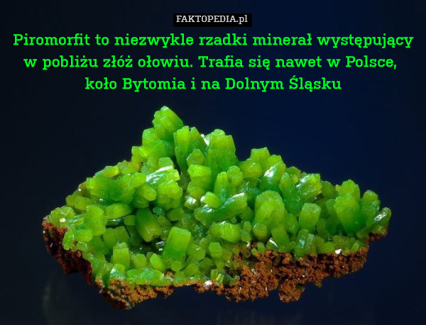 Piromorfit to niezwykle rzadki minerał występujący w pobliżu złóż ołowiu. Trafia się nawet w Polsce, 
koło Bytomia i na Dolnym Śląsku 