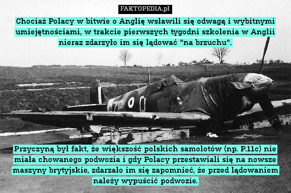 Chociaż Polacy w bitwie o Anglię wsławili się odwagą i wybitnymi umiejętnościami, w trakcie pierwszych tygodni szkolenia w Anglii nieraz zdarzyło im się lądować "na brzuchu".









Przyczyną był fakt, że większość polskich samolotów (np. P.11c) nie miała chowanego podwozia i gdy Polacy przestawiali się na nowsze maszyny brytyjskie, zdarzało im się zapomnieć, że przed lądowaniem należy wypuścić podwozie. 