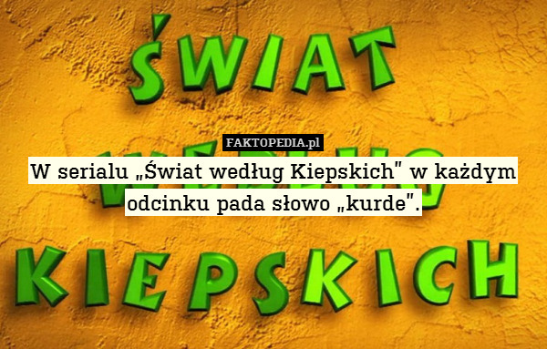 W serialu „Świat według Kiepskich” w każdym odcinku pada słowo „kurde”. 