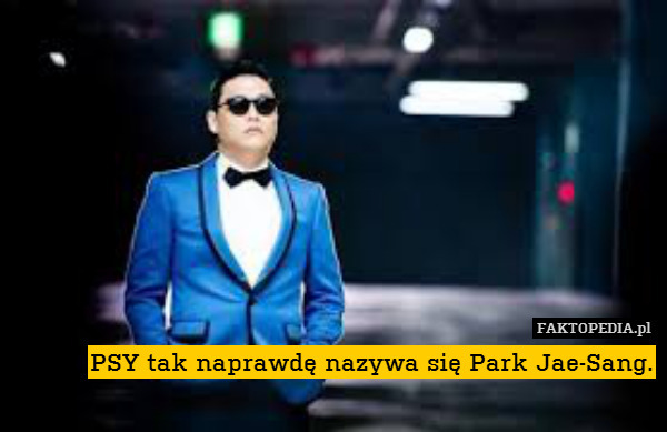 PSY tak naprawdę nazywa się Park Jae-Sang. 
