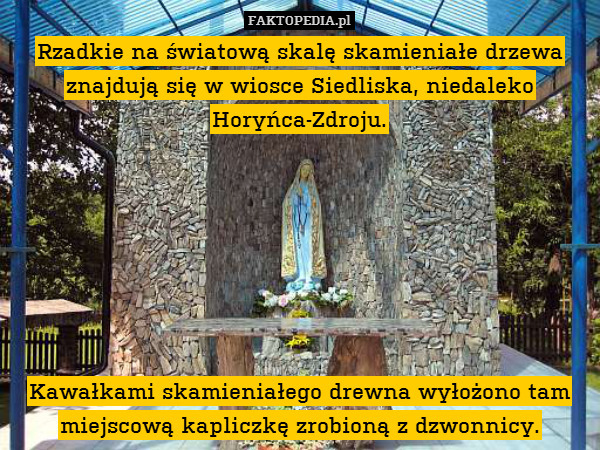 Rzadkie na światową skalę skamieniałe drzewa znajdują się w wiosce Siedliska, niedaleko Horyńca-Zdroju.







Kawałkami skamieniałego drewna wyłożono tam miejscową kapliczkę zrobioną z dzwonnicy. 