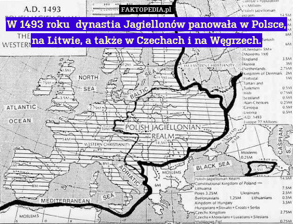 W 1493 roku  dynastia Jagiellonów panowała w Polsce, na Litwie, a także w Czechach i na Węgrzech. 