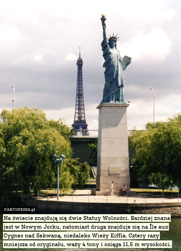 Na świecie znajdują się dwie Statuy Wolności. Bardziej znana jest w Nowym Jorku, natomiast druga znajduje się na Île aux Cygnes nad Sekwaną, niedaleko Wieży Eiffla. Cztery razy mniejsza od oryginału, waży 4 tony i osiąga 11,5 m wysokości. 