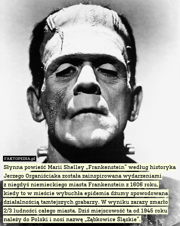 Słynna powieść Marii Shelley „Frankenstein” według historyka Jerzego Organiściaka została zainspirowana wydarzeniami
z niegdyś niemieckiego miasta Frankenstein z 1606 roku,
kiedy to w mieście wybuchła epidemia dżumy spowodowana działalnością tamtejszych grabarzy. W wyniku zarazy zmarło 2/3 ludności całego miasta. Dziś miejscowość ta od 1945 roku należy do Polski i nosi nazwę „Ząbkowice Śląskie”. 