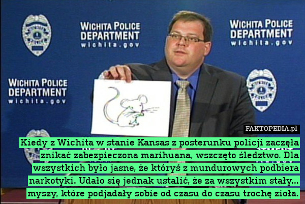 Kiedy z Wichita w stanie Kansas z posterunku policji zaczęła znikać zabezpieczona marihuana, wszczęto śledztwo. Dla wszystkich było jasne, że któryś z mundurowych podbiera narkotyki. Udało się jednak ustalić, że za wszystkim stały... myszy, które podjadały sobie od czasu do czasu trochę zioła. 