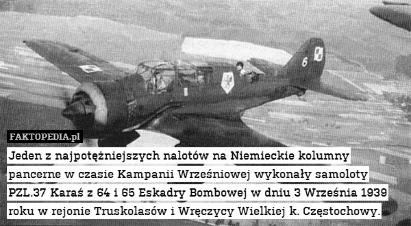 Jeden z najpotężniejszych nalotów na Niemieckie kolumny pancerne w czasie Kampanii Wrześniowej wykonały samoloty PZL.37 Karaś z 64 i 65 Eskadry Bombowej w dniu 3 Września 1939 roku w rejonie Truskolasów i Wręczycy Wielkiej k. Częstochowy. 