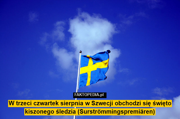 W trzeci czwartek sierpnia w Szwecji obchodzi się święto kiszonego śledzia (Surströmmingspremiären) 