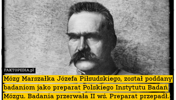 Mózg Marszałka Józefa Piłsudskiego, został poddany badaniom jako preparat Polskiego Instytutu Badań Mózgu. Badania przerwała II wś. Preparat przepadł. 