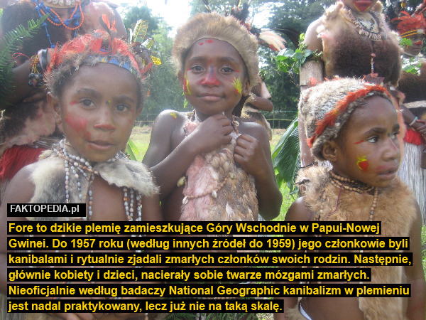 Fore to dzikie plemię zamieszkujące Góry Wschodnie w Papui-Nowej Gwinei. Do 1957 roku (według innych źródeł do 1959) jego członkowie byli kanibalami i rytualnie zjadali zmarłych członków swoich rodzin. Następnie, głównie kobiety i dzieci, nacierały sobie twarze mózgami zmarłych. Nieoficjalnie według badaczy National Geographic kanibalizm w plemieniu jest nadal praktykowany, lecz już nie na taką skalę. 