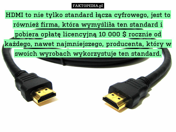 HDMI to nie tylko standard łącza cyfrowego, jest to również firma, która wymyśliła ten standard i pobiera opłatę licencyjną 10 000 $ rocznie od każdego, nawet najmniejszego, producenta, który w swoich wyrobach wykorzystuje ten standard. 