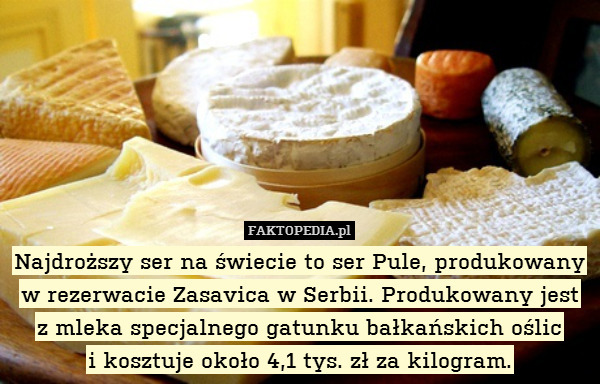 Najdroższy ser na świecie to ser Pule, produkowany w rezerwacie Zasavica w Serbii. Produkowany jest
z mleka specjalnego gatunku bałkańskich oślic
i kosztuje około 4,1 tys. zł za kilogram. 