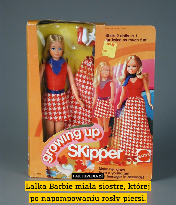 Lalka Barbie miała siostrę, której
po napompowaniu rosły piersi. 