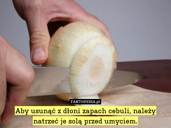 Aby usunąć z dłoni zapach cebuli, należy
natrzeć je solą przed umyciem. 