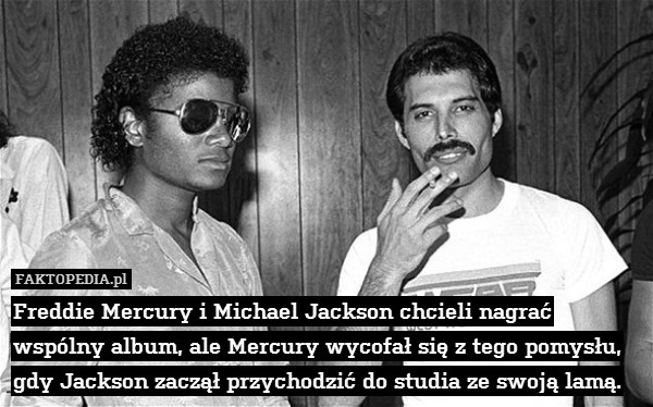 Freddie Mercury i Michael Jackson chcieli nagrać wspólny album, ale Mercury wycofał się z tego pomysłu, gdy Jackson zaczął przychodzić do studia ze swoją lamą. 