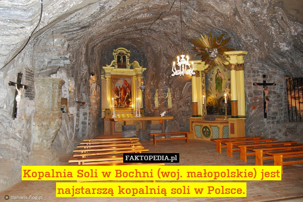 Kopalnia Soli w Bochni (woj. małopolskie) jest najstarszą kopalnią soli w Polsce. 