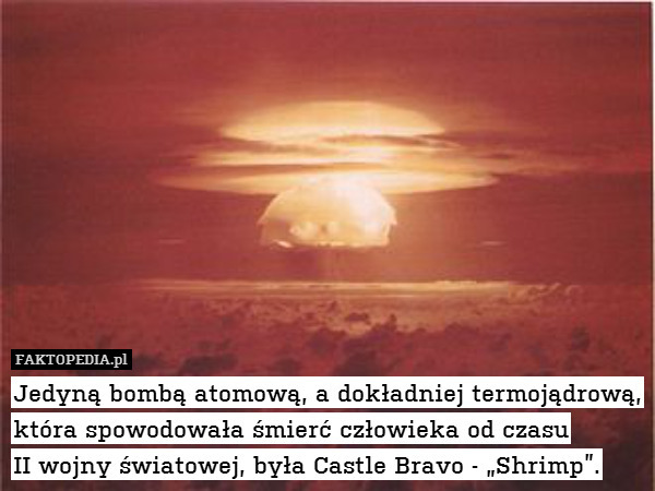 Jedyną bombą atomową, a dokładniej termojądrową,
która spowodowała śmierć człowieka od czasu
II wojny światowej, była Castle Bravo - „Shrimp”. 