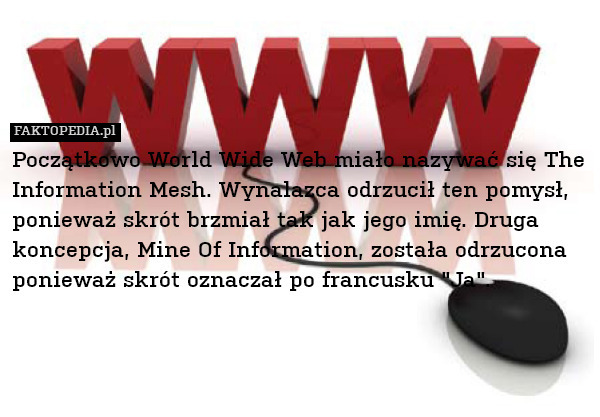Początkowo World Wide Web miało nazywać się The Information Mesh. Wynalazca odrzucił ten pomysł, ponieważ skrót brzmiał tak jak jego imię. Druga koncepcja, Mine Of Information, została odrzucona ponieważ skrót oznaczał po francusku "Ja". 