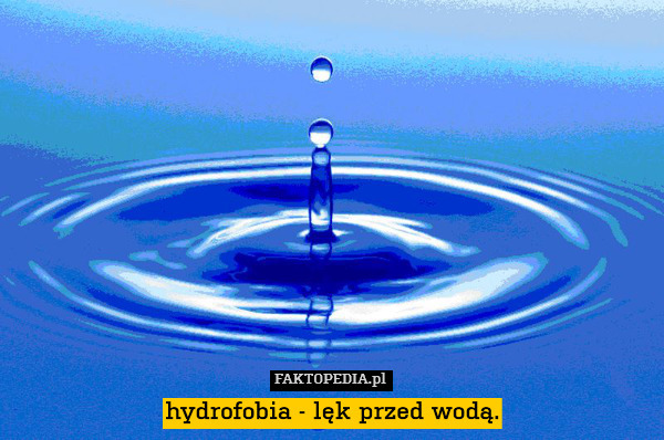 hydrofobia - lęk przed wodą. 