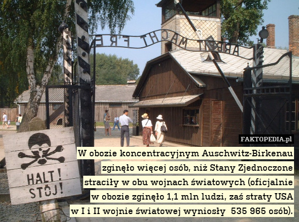 W obozie koncentracyjnym Auschwitz-Birkenau
zginęło więcej osób, niż Stany Zjednoczone
straciły w obu wojnach światowych (oficjalnie
w obozie zginęło 1,1 mln ludzi, zaś straty USA
w I i II wojnie światowej wyniosły  535 965 osób). 