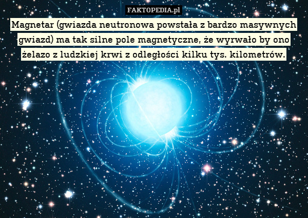 Magnetar (gwiazda neutronowa powstała z bardzo masywnych gwiazd) ma tak silne pole magnetyczne, że wyrwało by ono żelazo z ludzkiej krwi z odległości kilku tys. kilometrów. 