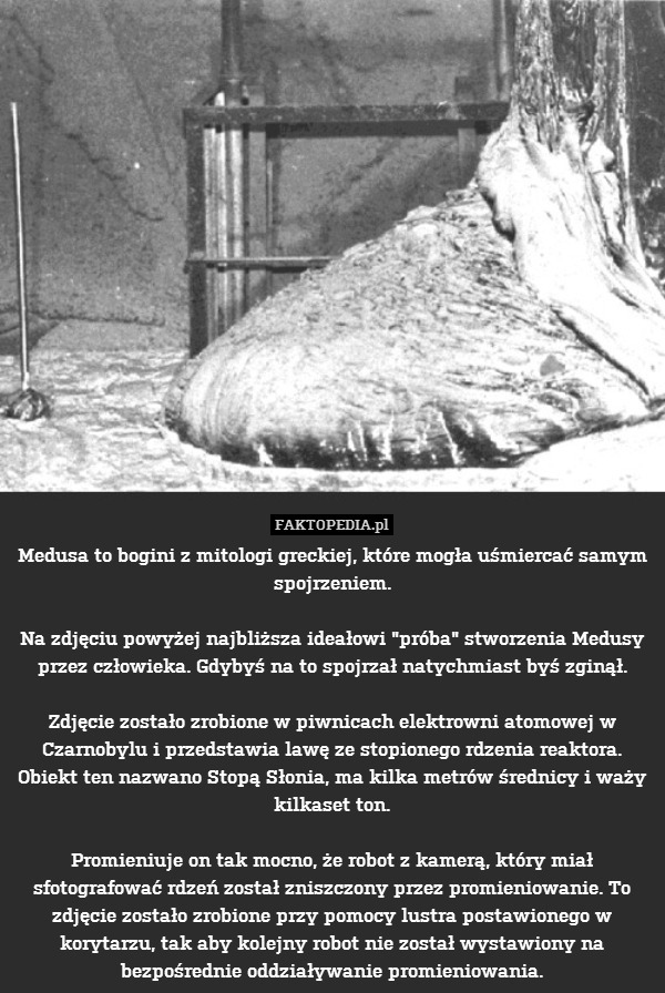 Medusa to bogini z mitologi greckiej, które mogła uśmiercać samym spojrzeniem.

Na zdjęciu powyżej najbliższa ideałowi "próba" stworzenia Medusy przez człowieka. Gdybyś na to spojrzał natychmiast byś zginął.

Zdjęcie zostało zrobione w piwnicach elektrowni atomowej w Czarnobylu i przedstawia lawę ze stopionego rdzenia reaktora. Obiekt ten nazwano Stopą Słonia, ma kilka metrów średnicy i waży kilkaset ton.

Promieniuje on tak mocno, że robot z kamerą, który miał sfotografować rdzeń został zniszczony przez promieniowanie. To zdjęcie zostało zrobione przy pomocy lustra postawionego w korytarzu, tak aby kolejny robot nie został wystawiony na bezpośrednie oddziaływanie promieniowania. 