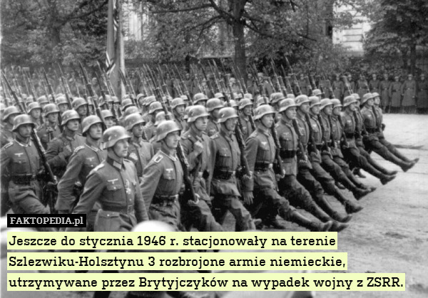 Jeszcze do stycznia 1946 r. stacjonowały na terenie Szlezwiku-Holsztynu 3 rozbrojone armie niemieckie, utrzymywane przez Brytyjczyków na wypadek wojny z ZSRR. 