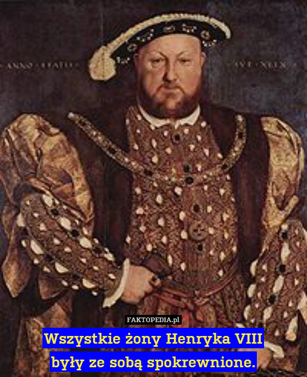 Wszystkie żony Henryka VIII
były ze sobą spokrewnione. 