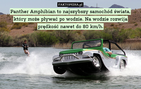 Panther Amphibian to najszybszy samochód świata,
który może pływać po wodzie. Na wodzie rozwija
prędkość nawet do 80 km/h. 