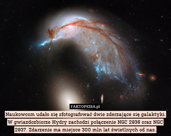 Naukowcom udało się sfotografować dwie zderzające się galaktyki. W gwiazdozbiorze Hydry zachodzi połączenie NGC 2936 oraz NGC 2937. Zdarzenie ma miejsce 300 mln lat świetlnych od nas. 