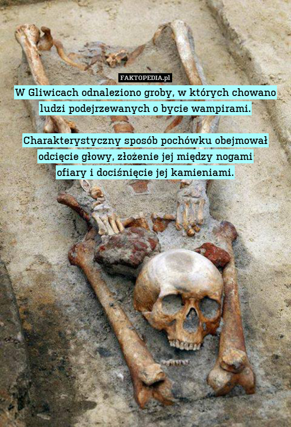 W Gliwicach odnaleziono groby, w których chowano ludzi podejrzewanych o bycie wampirami.

Charakterystyczny sposób pochówku obejmował odcięcie głowy, złożenie jej między nogami
ofiary i dociśnięcie jej kamieniami. 