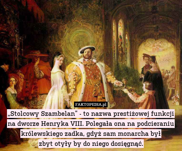 „Stolcowy Szambelan” - to nazwa prestiżowej funkcji na dworze Henryka VIII. Polegała ona na podcieraniu królewskiego zadka, gdyż sam monarcha był
zbyt otyły by do niego dosięgnąć. 